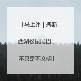 马上评｜拽断西湖松鼠尾巴，不只是不文明