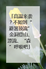 高温来袭？不如到“避暑顶流”金洞登山、漂流、“森”呼吸吧