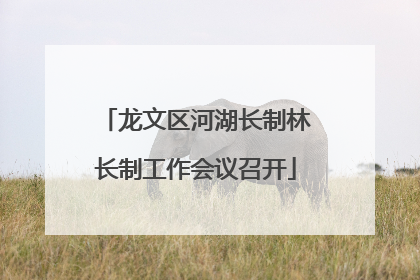 龙文区河湖长制林长制工作会议召开