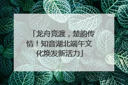 龙舟竞渡，楚韵传情！知音湖北端午文化焕发新活力