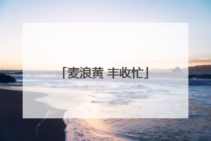 麦浪黄 丰收忙