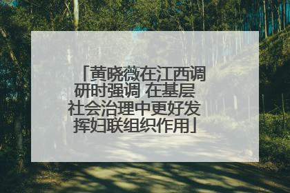 黄晓薇在江西调研时强调 在基层社会治理中更好发挥妇联组织作用