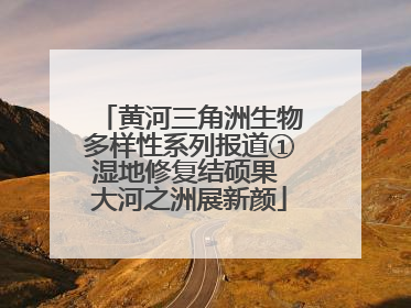 黄河三角洲生物多样性系列报道①湿地修复结硕果 大河之洲展新颜