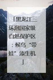 黑龙江三环泡国家级自然保护区：候鸟“带娃”添生机