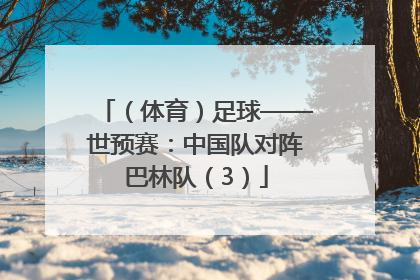 （体育）足球——世预赛：中国队对阵巴林队（3）