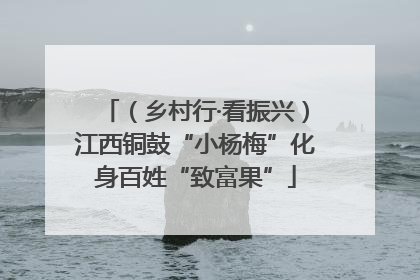 （乡村行·看振兴）江西铜鼓“小杨梅”化身百姓“致富果”