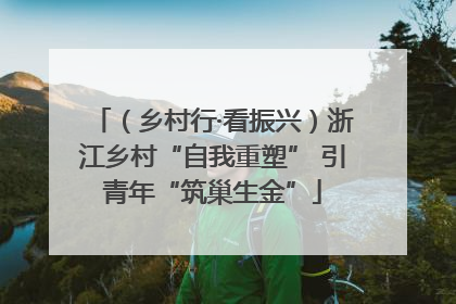 （乡村行·看振兴）浙江乡村“自我重塑” 引青年“筑巢生金”