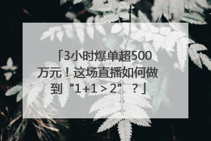 3小时爆单超500万元！这场直播如何做到“1+1＞2”？