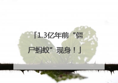 1.3亿年前“僵尸蚂蚁”现身！