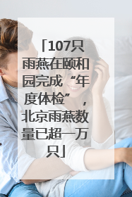 107只雨燕在颐和园完成“年度体检”，北京雨燕数量已超一万只