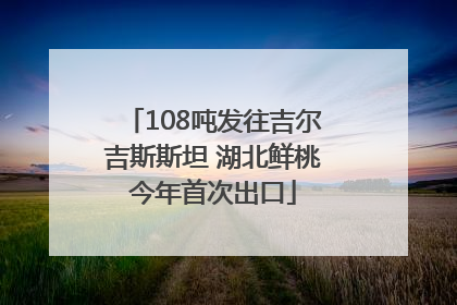 108吨发往吉尔吉斯斯坦 湖北鲜桃今年首次出口