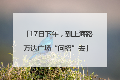 17日下午，到上海路万达广场“问招”去