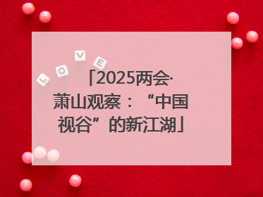 2025两会·萧山观察：“中国视谷”的新江湖