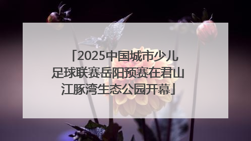 2025中国城市少儿足球联赛岳阳预赛在君山江豚湾生态公园开幕