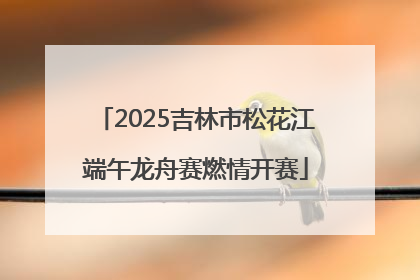 2025吉林市松花江端午龙舟赛燃情开赛