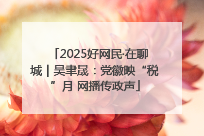 2025好网民·在聊城｜吴聿晟：党徽映“税”月 网播传政声