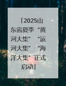 2025山东省夏季“黄河大集”“运河大集”“海洋大集”正式启动