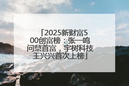 2025新财富500创富榜：张一鸣问鼎首富，宇树科技王兴兴首次上榜