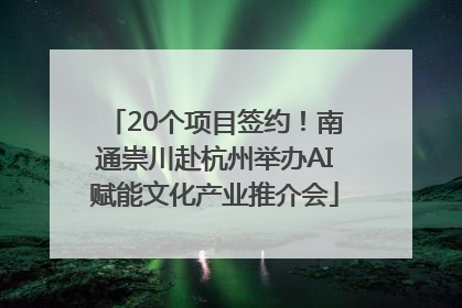 20个项目签约！南通崇川赴杭州举办AI赋能文化产业推介会