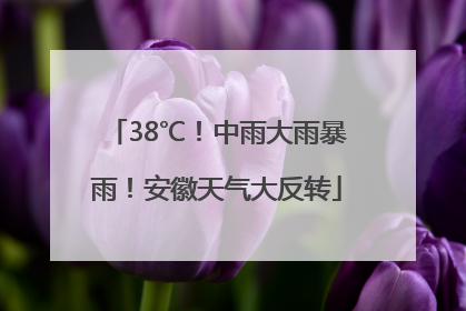 38℃！中雨大雨暴雨！安徽天气大反转