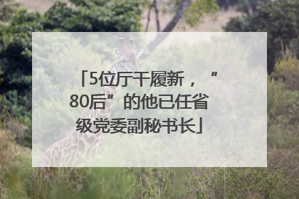 5位厅干履新，“80后”的他已任省级党委副秘书长