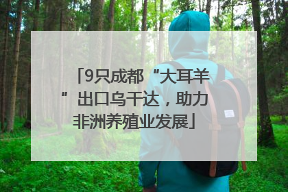 9只成都“大耳羊”出口乌干达，助力非洲养殖业发展