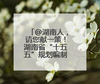 @湖南人，请您献一策！湖南省“十五五”规划编制征求意见啦