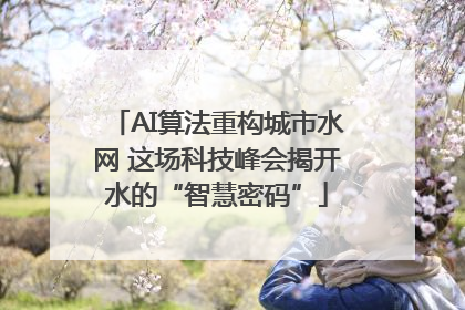 AI算法重构城市水网 这场科技峰会揭开水的“智慧密码”