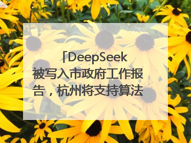 DeepSeek被写入市政府工作报告，杭州将支持算法模型企业发展