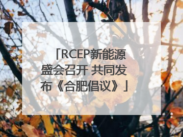 RCEP新能源盛会召开 共同发布《合肥倡议》